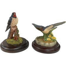 2 Country Artists Swallow