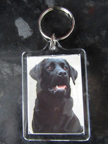 Dog breed key - key, rings