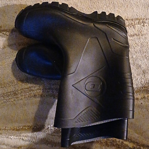 Dunlop black rubber wellington - black,