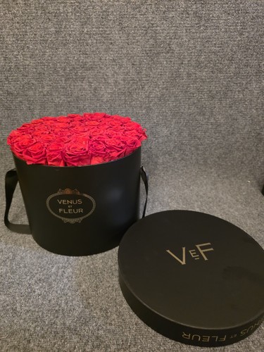 Venus fleur red roses - fleur,