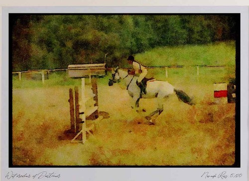 Horse 197014 equestrian - horse,