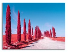 Converted Full Spectrum