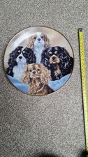 Cavalier King Charles Spaniels
