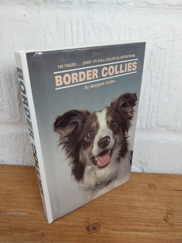 Border collies margaret - border,