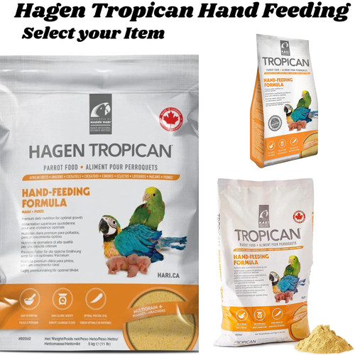 Hagen tropican hand - hand, feeding