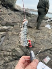 3x Premium Tope Pulley Rigs   Tope Bullhuss Conger  Eel