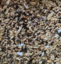 20kg WILD BRITISH FINCH &