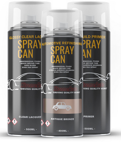 Aerosol spray paint kit for - kit,