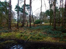 Photo walesby forest centre - a1,