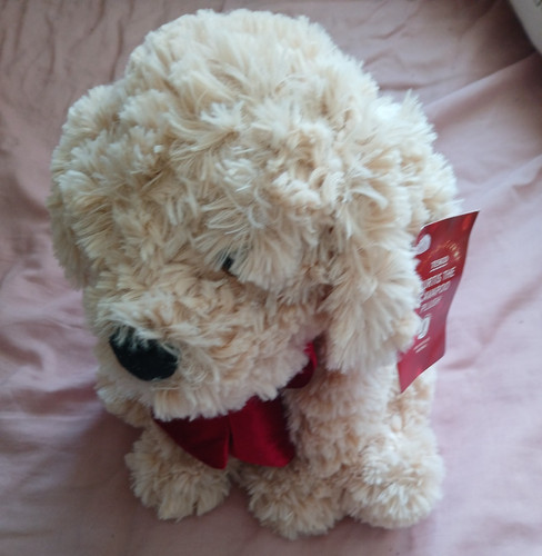 Tesco curtis the cavapoo - tesco,