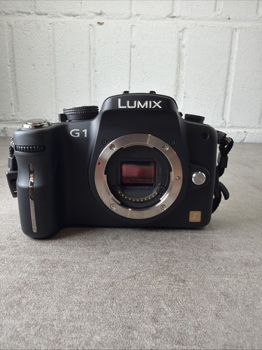 Panasonic lumix camera body - g1,