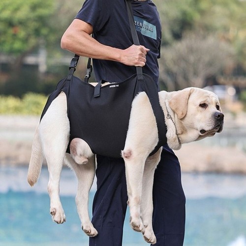 Adjustable dog lift sling - dog,
