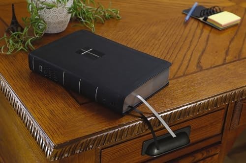 Niv quest study - quest, bible