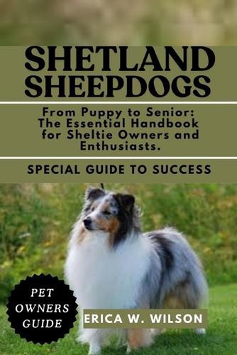 Shetland sheepdogs from - shetland,