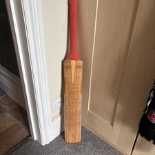 Woodworm the wand cricket bat - woodworm,