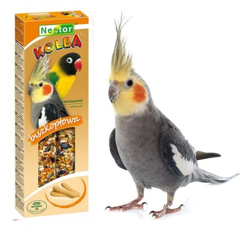 Parrots bird biscuits sticks - bird,