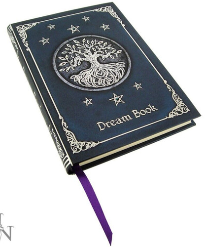 Embossed raised dreams book - embossed,