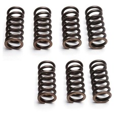 EBC Clutch Spring Set (7 PCS)
