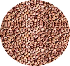 WHOLE PEANUTS 2kg Garden Wild Bird Seed Feed Food Of Nuts  Wild Bird Seed