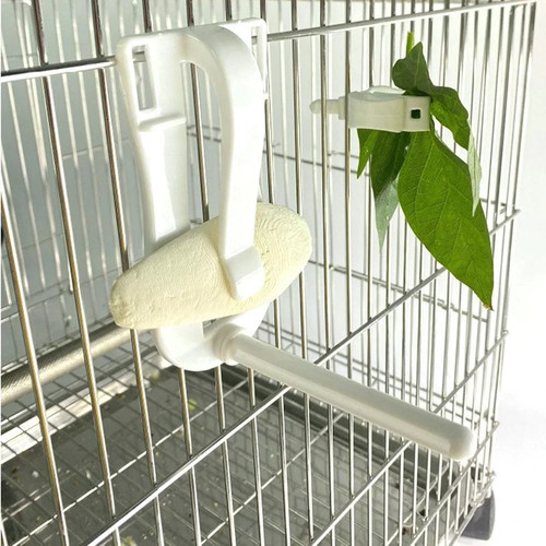 Bird cage food - cage, parrot