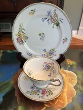 Vintage Shelley Wild Flowers