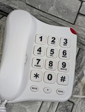 Large button landline home