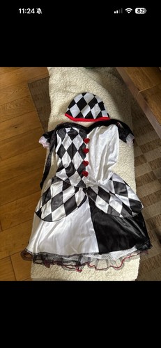 Jester halloween costume - jester,
