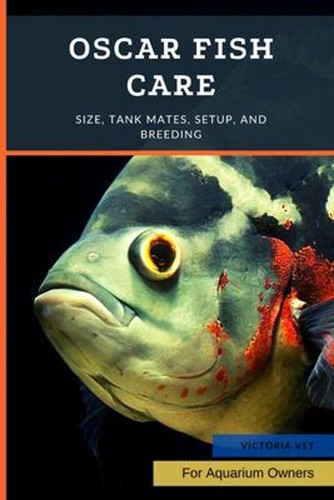 Oscar fish care size tank - fish, size,
