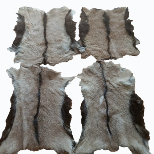 Real goat skin pelt rug - skin,
