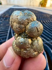 Natural Golden Pyrite Crystal