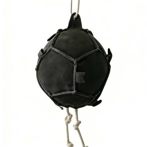 Horse carrot feeding ball - , toy