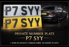 P7 SYY Private Plate + Carbon