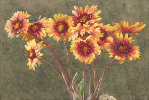 Danby 1905 watercolour - -,