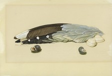 Kristin Rosenberg 1972 -