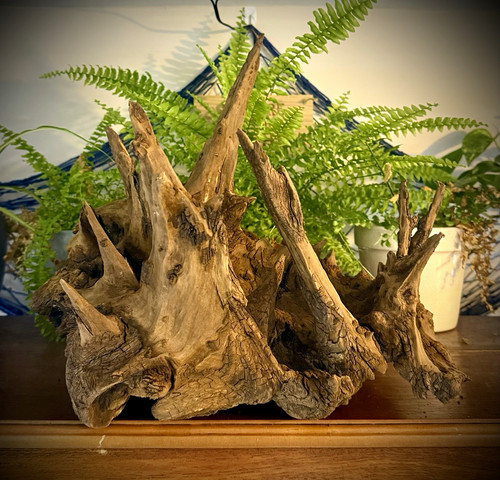 Aquarium driftwood root - aquarium,