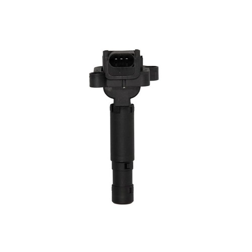 Ignition coil for - ignition,
