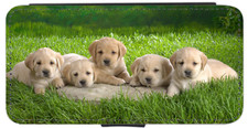 CUTE DOG PUPPY LITTER