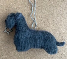 CESKY TERRIER with CHRISTMAS