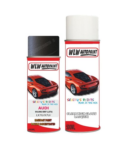 Paint spray for audi oolong - audi,