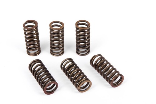 Clutch spring kit - clutch,