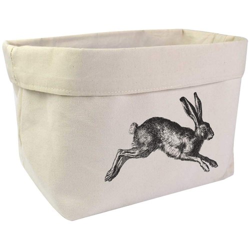Hare rabbit jumping - rabbit, jumping'