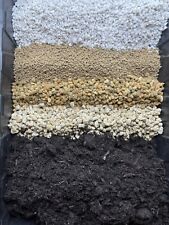 Premium Specialist Lithops 'Living Stones' soil mixture—1L (Young Plant  3years)