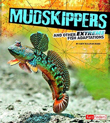 Mudskippers and other extreme - mudskippers,