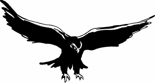 Extra large hawk eagle - extra,