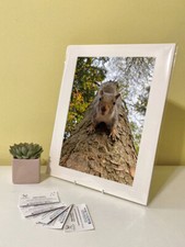 Art Print Image Picture Photo