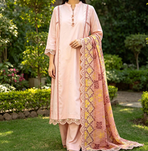 Blush pink ladies - pakistani, 3