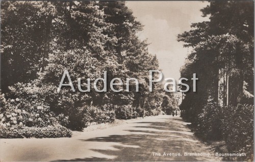 Vintage postcard the avenue - vintage,