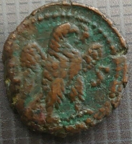 Roman probus egypt - , eagle