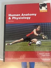 Anatomy And Physiology 9th