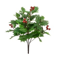 Holly Bush With Berries